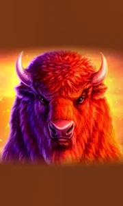 Buffalo 50